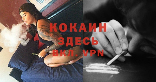 мескалин Гусев