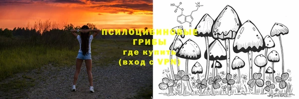 ALPHA PVP Дмитриев