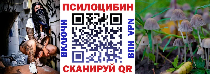 нарко площадка как зайти  где купить   Шадринск  Галлюциногенные грибы прущие грибы 