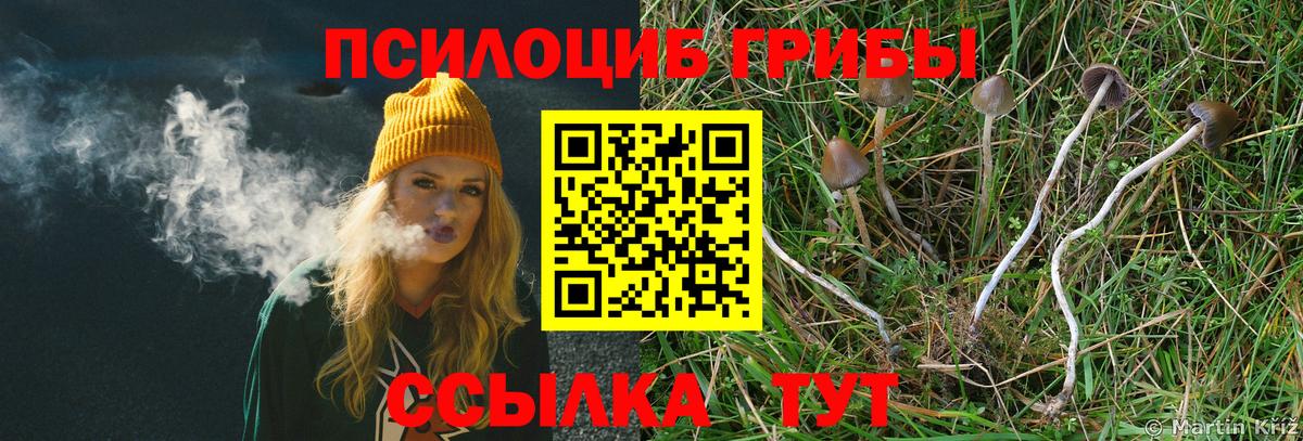 Галлюциногенные грибы мицелий  Вход с VPN  Шадринск 